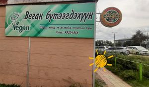  at Loving Hut in Zuunmod