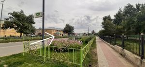  at Loving Hut in Zuunmod