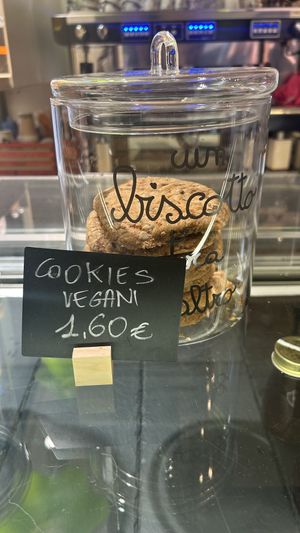   at Gelateria Pingu in Trento