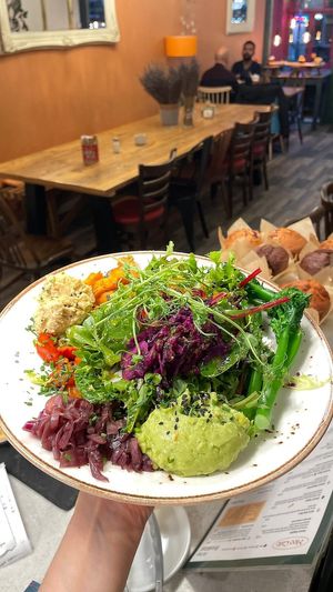  at Meo Cafe in Brighton