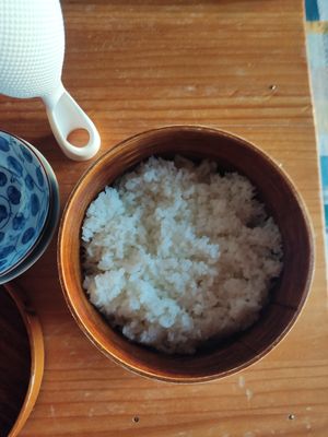 Dinner - rice at SUZUSHIRO in Tanabe