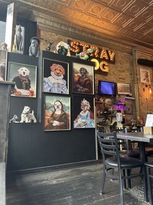   at Stray Dog in Minneapolis