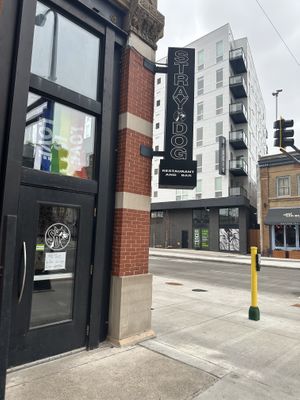   at Stray Dog in Minneapolis