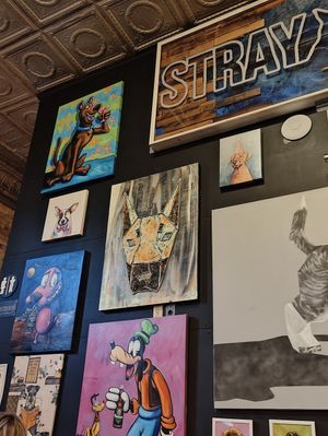  at Stray Dog in Minneapolis