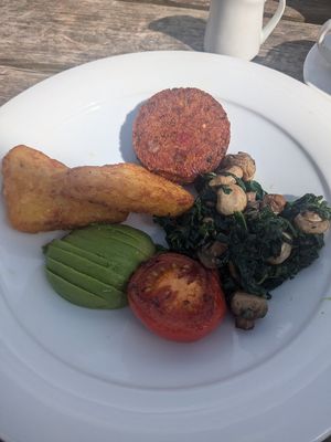 Vegan brunch with Avocado, tomato, hash brown, saut̩eed spinach & mushrooms with a quinoa, beet & edamame patty at The Clipper Cafe in Teignmouth