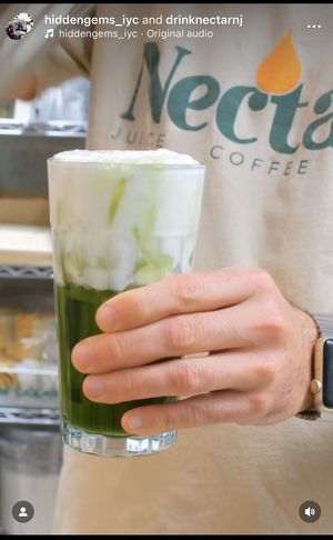 Tea   at Nectar in Little Falls