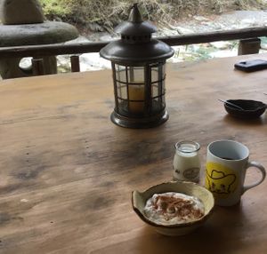 An amazingly tasty vegan homemade yoghurt from coconut and soy milk milk. With added apple chunks and chia seeds. at Earth Hostel - Nikko Riverhouse in Nikko
