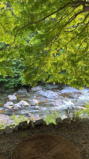   at Earth Hostel - Nikko Riverhouse in Nikko