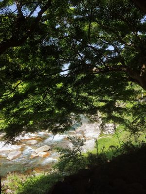  at Earth Hostel - Nikko Riverhouse in Nikko