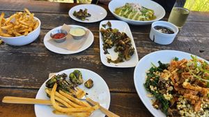 Colleague chose Butternut Enchiladas. We shared Brussel sprouts ans fries at Seabirds Kitchen - The LAB in Costa Mesa