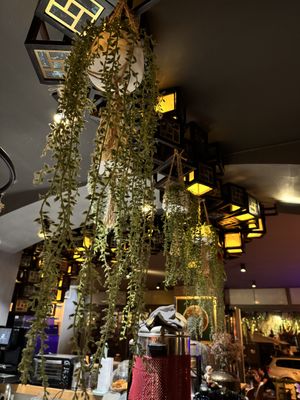 Inside/Decoration.  at pho mum in Dresden