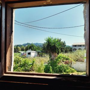  at Lahanaki - Vegan Cantina in Corfu