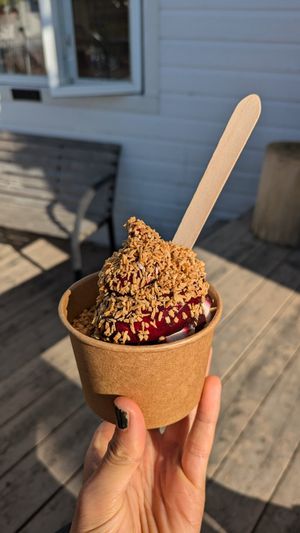 Sundae bleuets camerise et coco grillé at Saison Deli in Rimouski