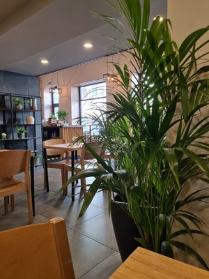  at Zili's Health Bar in Budapest