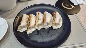 Gyoza at Vegan Cafe Tsukineko in Osaka