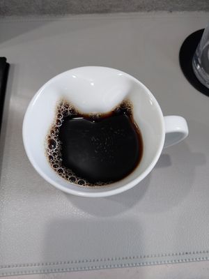  at Vegan Cafe Tsukineko in Osaka