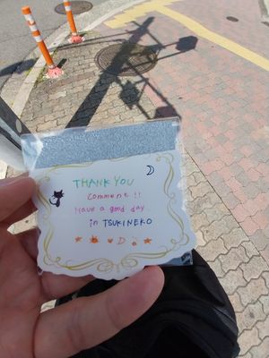  at Vegan Cafe Tsukineko in Osaka