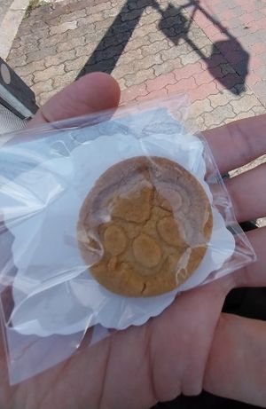  at Vegan Cafe Tsukineko in Osaka