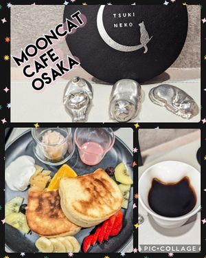  at Vegan Cafe Tsukineko in Osaka