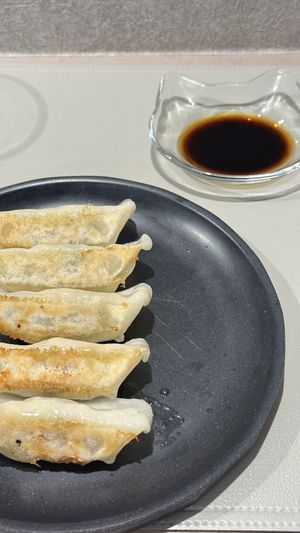 Vegan Gyozas   at Vegan Cafe Tsukineko in Osaka