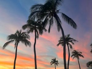 Another view from our table at Elements Restaurant in Oranjestad