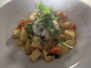 Madras Style Curry tofu dish with rice and vegetables  at Elements Restaurant in Oranjestad