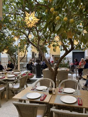   at limoni in Marrakech