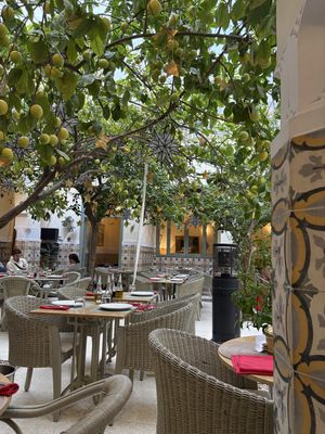   at limoni in Marrakech