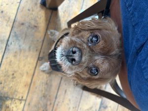 Teddy luv it!  at Furley & Co in Hull