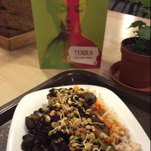 barley, potato and mushroom dish with warm vegetables and sprouts sprinkled on top at Terra in Riga