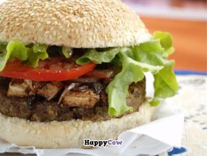 X- Vegan! at Shanti Burguer in Sao Paulo