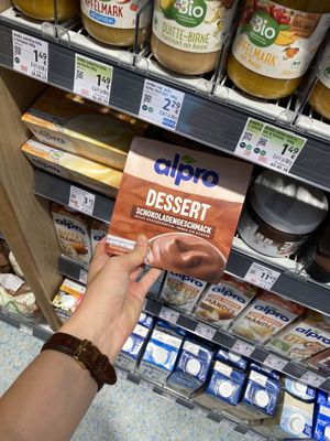Alpro desserts  at DM Drogerie Markt in Tolmin