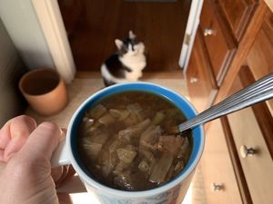 We got this cabbage soup to go! Henry approves. Yum! 😹  at Rose Hill Farm Stop in Bloomington