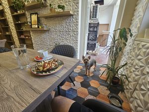 Dog in the interior at Kiskalácsom in Budapest