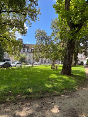 just down the street from the bakery is a delightful place to sit and enjoy the lovely food. we also bought a couple of pastries, eaten but not photographed lol. at Delaire Aymeric in Besancon