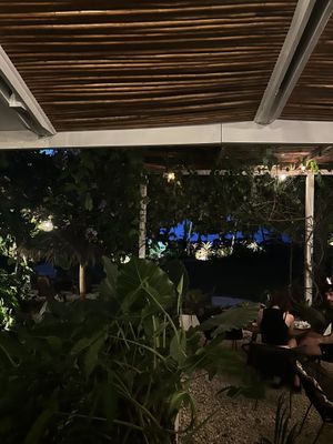 Ambient   at Spicy Coconut in Cocles