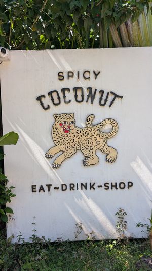 Easy to find at Spicy Coconut in Cocles