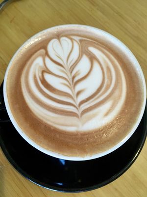 Mocha at Lamplighter - Addison St in Richmond