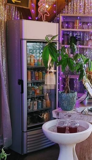 Our outdoor "Bar" fridge filled with Kombucha, low/no sugar sodas and cool bevvies! at The Edible Journey in Port Stanley