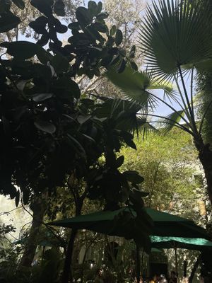   at Le Jardin in Marrakech