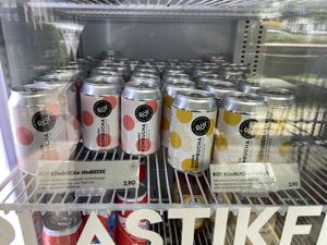 Kombucha in cans  at Goodies Berlin - Schlachtensee in Berlin