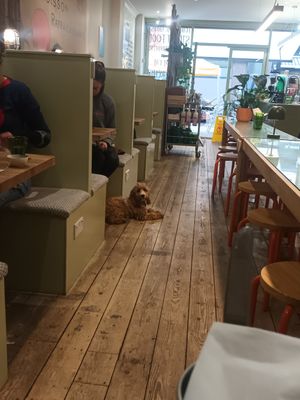 The interior. And a very cute dog ❤️. at Utter Waffle - Balham in South West London