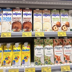 Mill alternatives   at Conad in Vlora