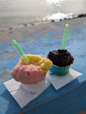 3 of the 4 vegan flavours at Cremositos Boavista in Boa Vista