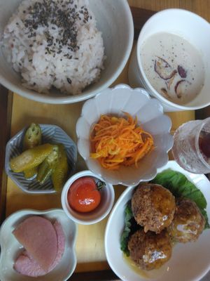 vegan plate lunch at Hanoen Herbshop & Soup Cafe in Saitama