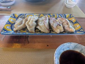 Vegan dumplings at Joto Ramen in Nairobi