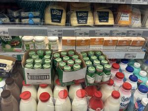   at Macrocenter in Mugla