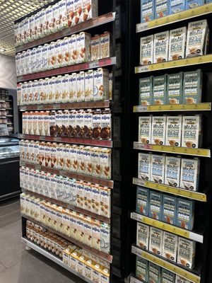   at Macrocenter in Mugla