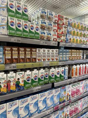   at Macrocenter in Mugla