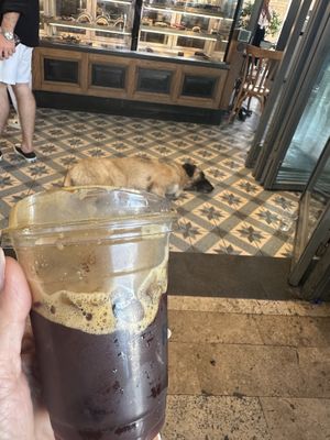 Cafe Nero + freddo + Local dog sleeping inside! 🐶   at Caffé Nero in Bodrum